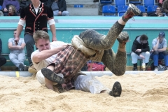Schwingen - Niklausschwinget 2019