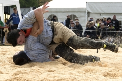 Schwingen - Zürcher Kantonalschwingfest 2019