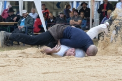 Schwingen - Bruederschwinget 2019