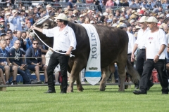 Schwingen - ESAF 2019
