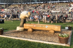 Schwingen - ESAF 2019