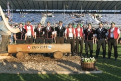 Schwingen - ESAF 2019