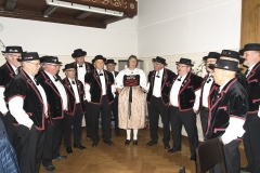 Schwingen - Zürcher Kantonalschwingfest 2019
