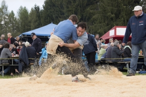 Gibelschwinget 2017