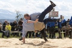 Schwingen - Gibelschwinget 2022