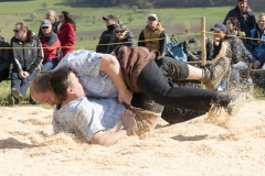 Schwingen - Gibelschwinget 2022