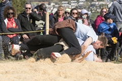 Schwingen - Gibelschwinget 2022