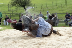 Schwingen - Moosschwinget 2021