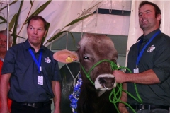 Muni_WalserStefan_BuehlerBeni