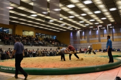 Niklausschwinget in der Stadthalle Dietikon