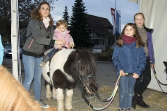 Ponyreiten_web