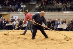 Schwingen - Niklausschwinget 2019