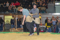 Schwingen - Niklausschwinget 2025