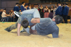 Schwingen - Niklausschwinget 2025