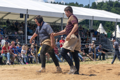 Schwingen - Zürcher Kant. Nachwuchsschwingfest 2025