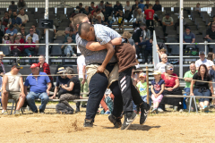 Schwingen - Zürcher Kant. Nachwuchsschwingfest 2025