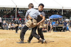 Schwingen - Zürcher Kant. Nachwuchsschwingfest 2025