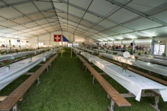 Schwingfest-0012