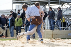 Schwingen - Zürcher Kantonalschwingfest 2019