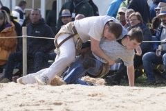Schwingen - Zürcher Kantonalschwingfest 2019