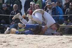 Schwingen - Zürcher Kantonalschwingfest 2019