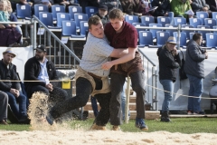 Schwingen - Zürcher Kantonalschwingfest 2019
