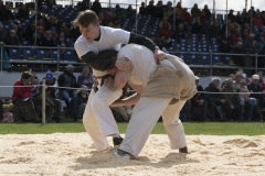 Schwingen - Zürcher Kantonalschwingfest 2019