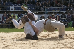 Schwingen - Zürcher Kantonalschwingfest 2019
