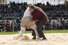 Schwingen - Zürcher Kantonalschwingfest 2019