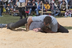 Schwingen - Zürcher Kantonalschwingfest 2019