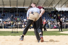 Schwingen - Zürcher Kantonalschwingfest 2019