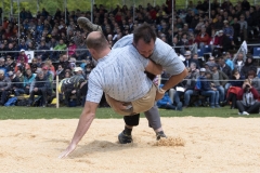 Schwingen - Zürcher Kantonalschwingfest 2019