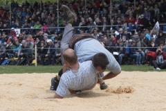 Schwingen - Zürcher Kantonalschwingfest 2019