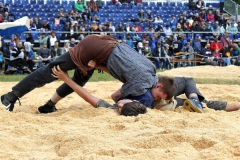 Schwingen - Zürcher Kantonalschwingfest 2023