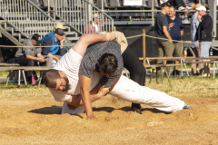Schwingen - Zürcher Kantonalschwingfest 2025