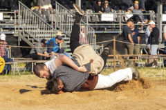 Schwingen - Zürcher Kantonalschwingfest 2025