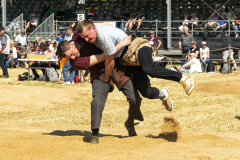 Schwingen - Zürcher Kantonalschwingfest 2025