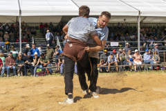 Schwingen - Zürcher Kantonalschwingfest 2025