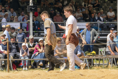 Schwingen - Zürcher Kantonalschwingfest 2025