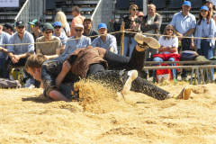 Schwingen - Zürcher Kantonalschwingfest 2025