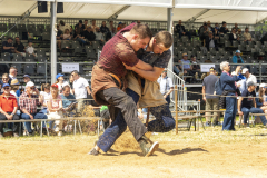 Schwingen - Zürcher Kantonalschwingfest 2025