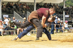 Schwingen - Zürcher Kantonalschwingfest 2025