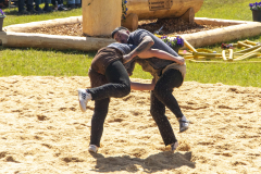 Schwingen - Zürcher Kantonalschwingfest 2026