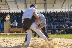 Schwingen - Zürcher Kantonalschwingfest 2026