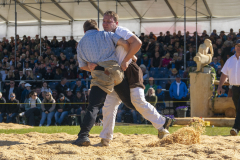 Schwingen - Zürcher Kantonalschwingfest 2026