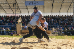 Schwingen - Zürcher Kantonalschwingfest 2026