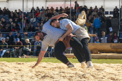 Schwingen - Zürcher Kantonalschwingfest 2026