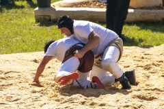 Schwingen - Zürcher Kantonalschwingfest 2026